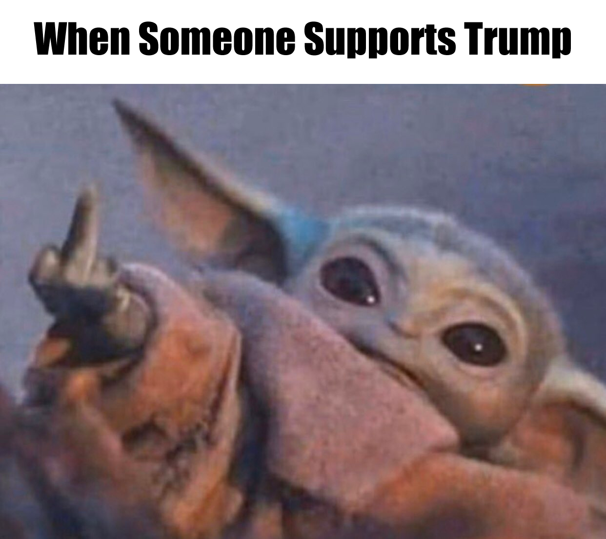 This meme features a still image from the movie "Star Wars: The Force Awakens" of a character named Finn, but it has been Photoshopped to make his face look shocked and horrified. The text "When someone supports Trump" appears above the image, implying that the character's reaction is a humorous way to express disgust or outrage at someone's political views. The meme is a lighthearted way to poke fun at the controversy surrounding Donald Trump's presidency.